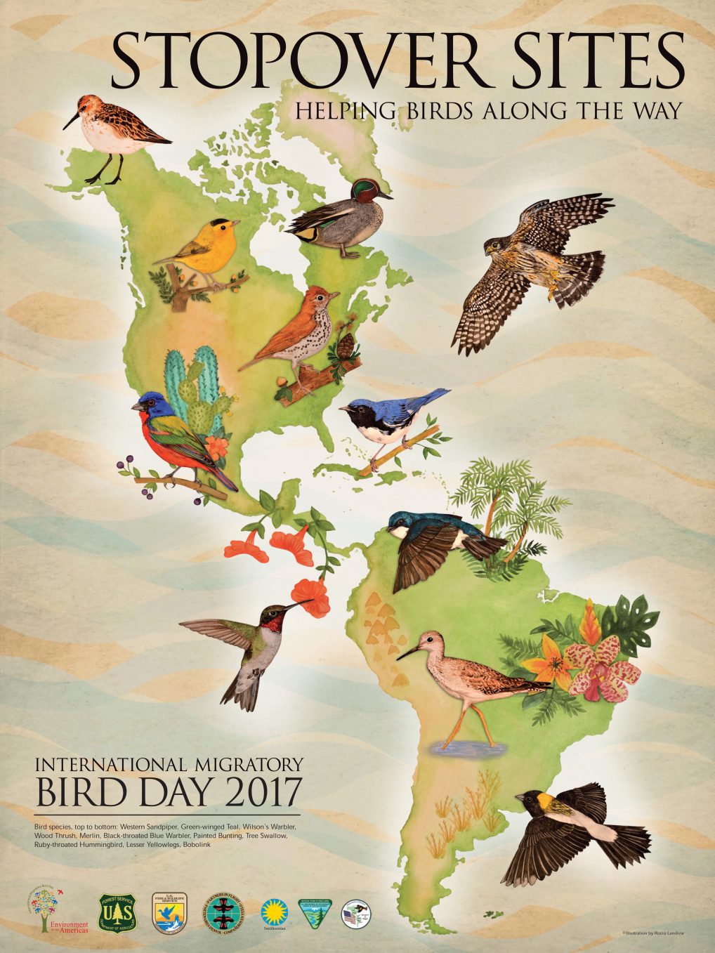 INTERNATIONAL MIGRATORY BIRD “DAY” 2017 CELEBRATES STOPOVERS | PACIFIC ...