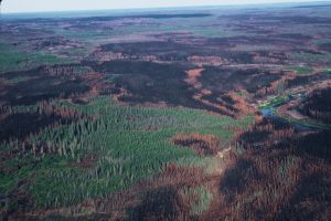 Boreal Fire Saskatchewan Photo- Bill de Groot, Natural Resources Canada, Canadian Forest Service.jpg