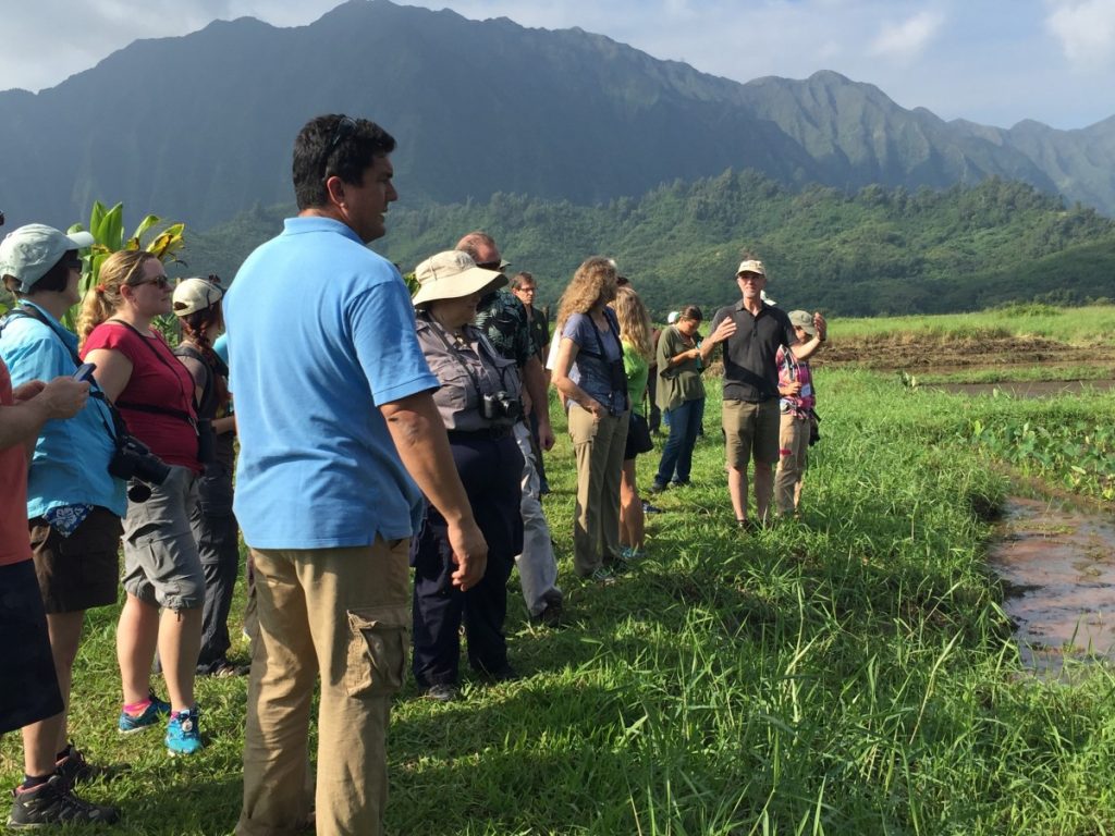 Kanakoa Kukea-Schultz Talks About Water Management And Invasive Species At A Wetland Site In Hawaii.