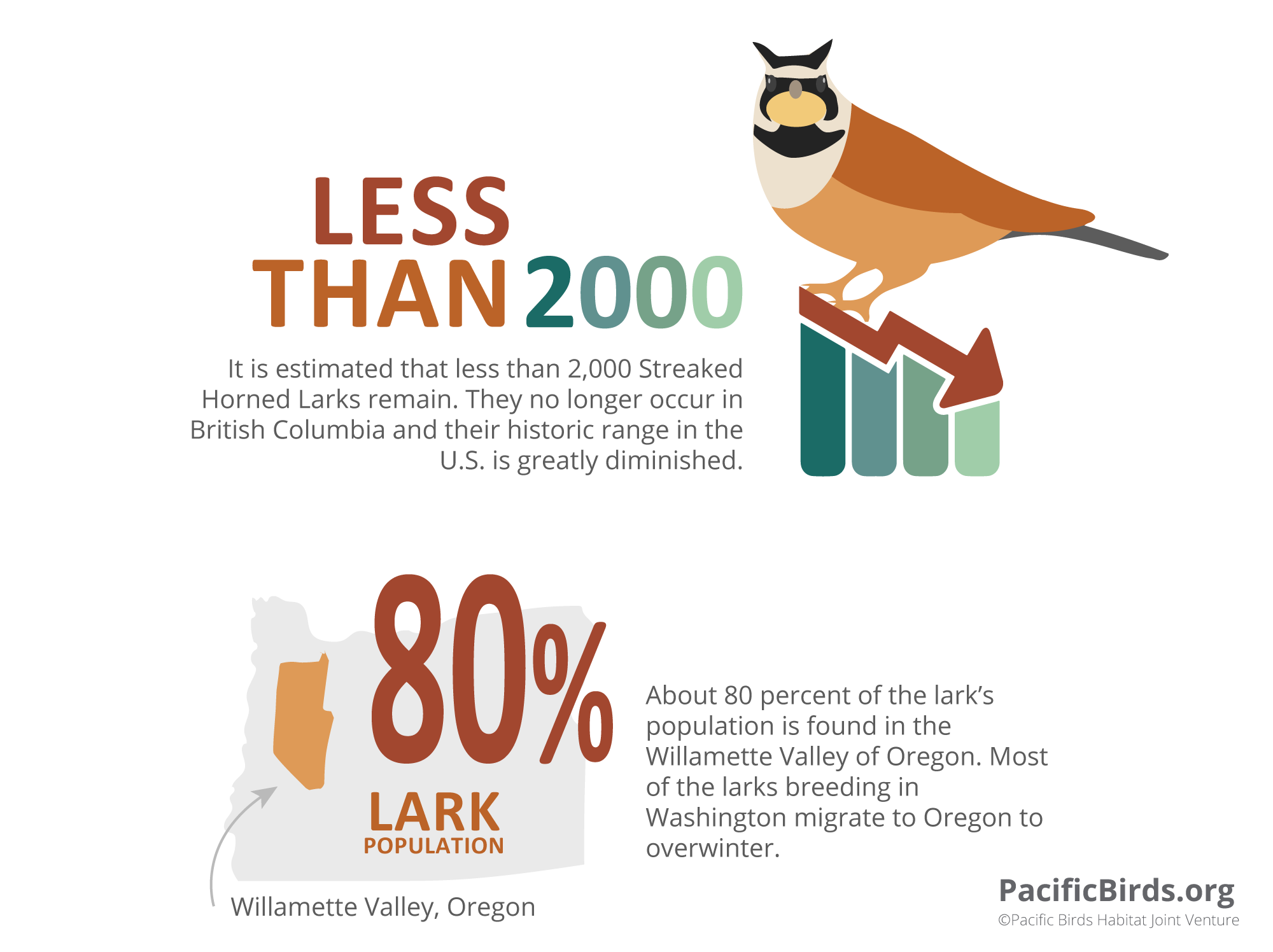 Streaked Horned Lark - Pacific Birds Habitat Joint Venture