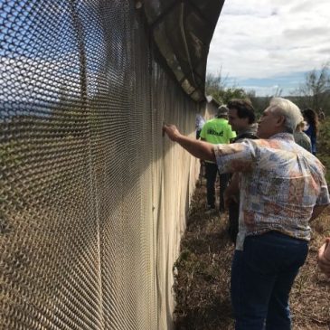 Partners in Hawaii check out the predator proof fence.