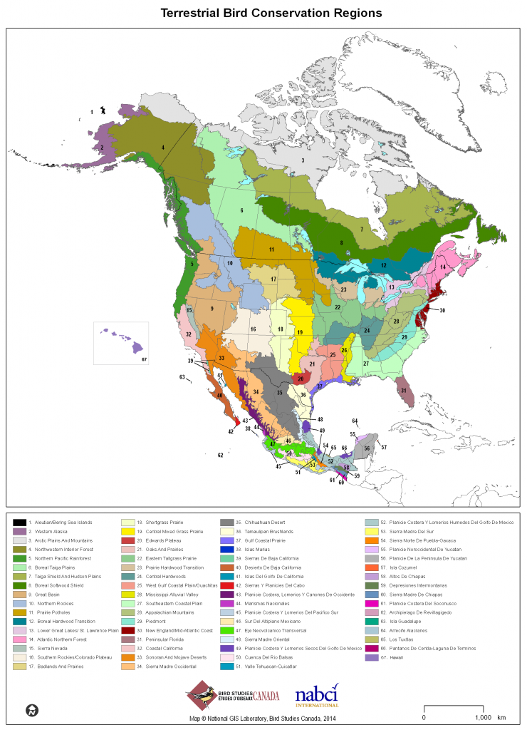 NAWCA Grants - Tips and Tools - Pacific Birds Habitat Joint Venture