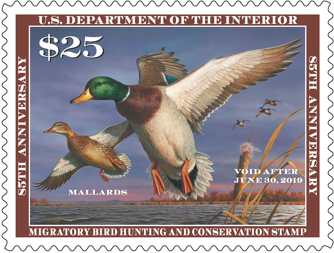 2018-2019 Federal Duck Stamp featuring artwork by Bob Hautman. <br>U.S. Fish and Wildlife Service
