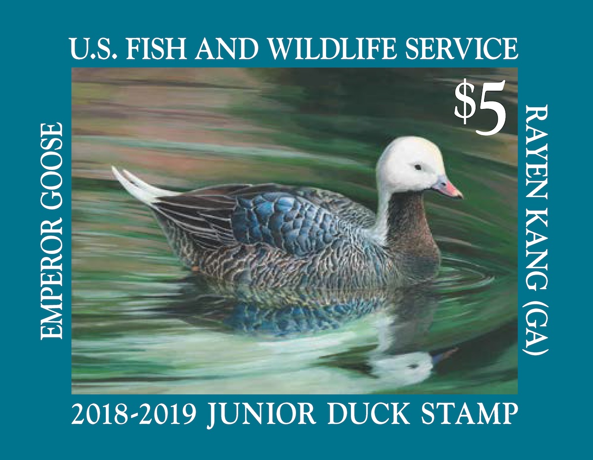 The Duck Stamps Are In Pacific Birds Habitat Joint Venture