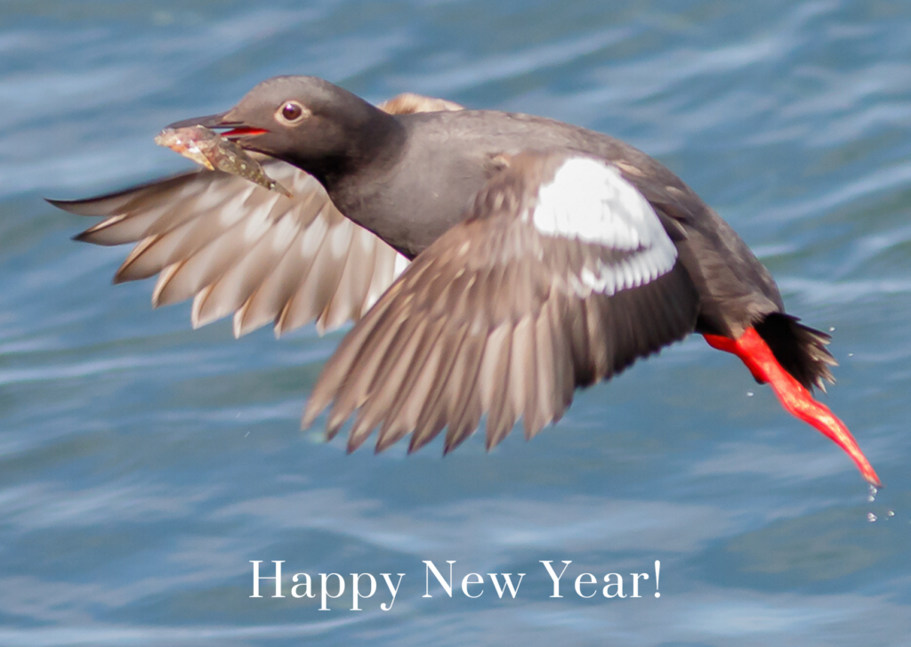 Bringing in 2020 Pacific Birds Habitat Joint Venture