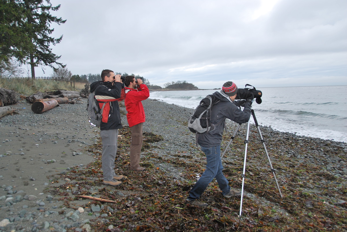 Count participants on Vancouver Island.<br>Karen Barry