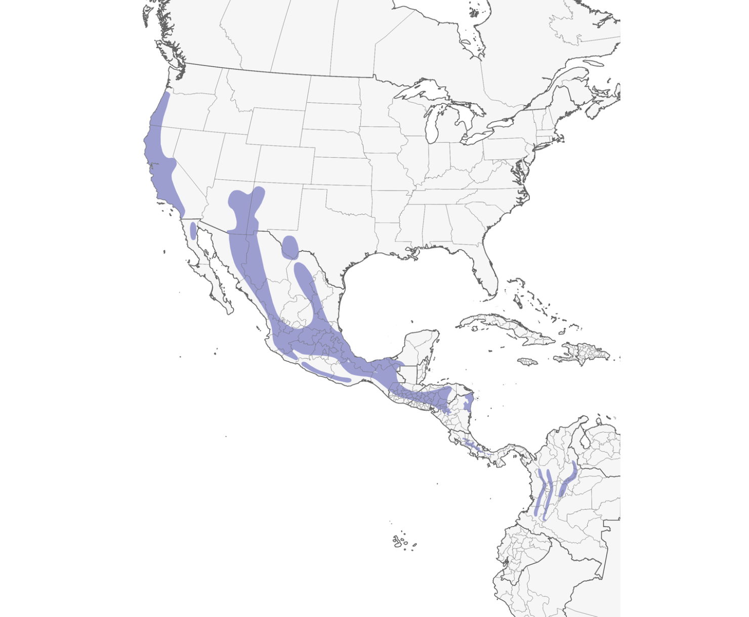 Distribution Map of Acorn Woodpecker from Cornell Lab of Ornithology.