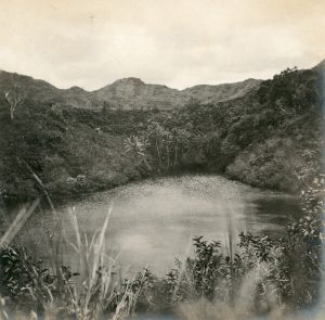 Waimea Opaelua Reservoir