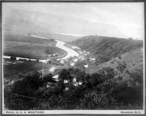 Waimea or Hanalei river 1882