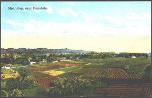 Moanalua Gardens Fields