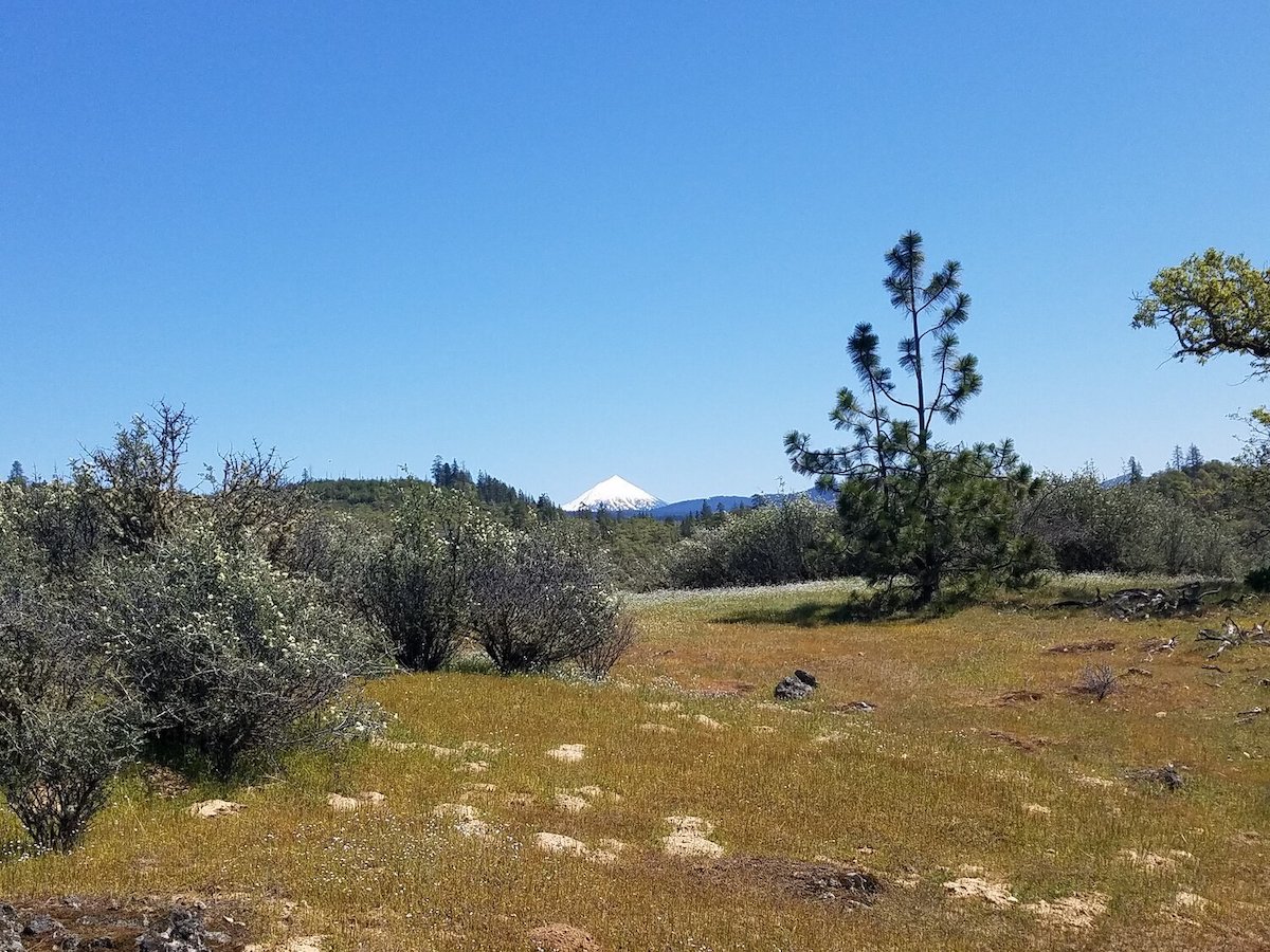 A mosaic of grasslands, chaparral, and woodlands on the property.<br>Photo courtesy Southern Oregon Land Conservancy
