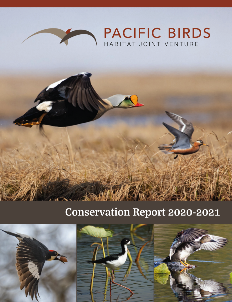 Conservation Report 2020-2021 Cover