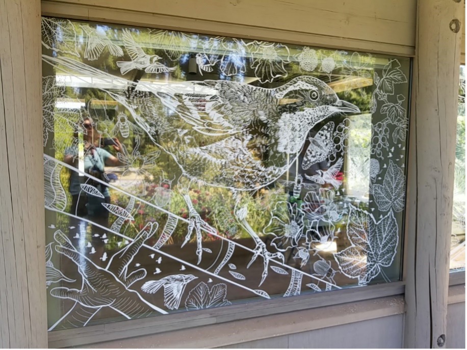 Bird-safe window treatment featuring a Varied Thrush (<i>Ixoreus naevius</i>) at the University of British Columbia. <br>Artwork created by Derek Tan (Biodiversity Research Centre, UBC). <br>Photo: K. De Groot