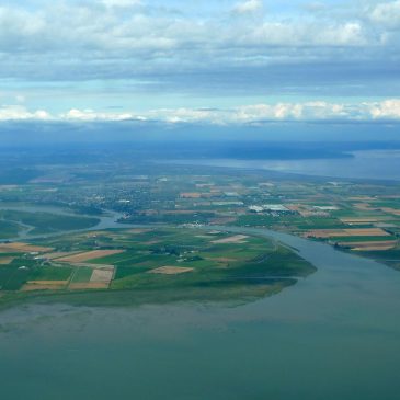 Fraser River Delta Image