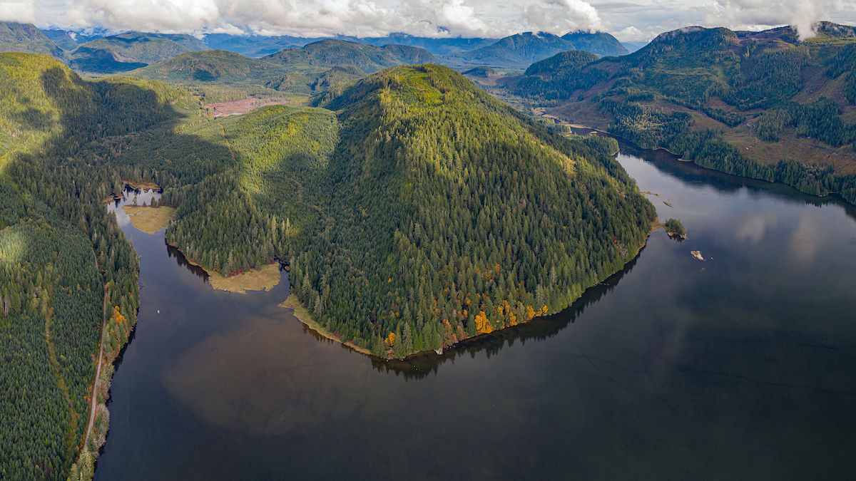 The Fulmore/Shoal Creek Estuary Complex in British Columbia<br>© The Nature Trust of British Columbia