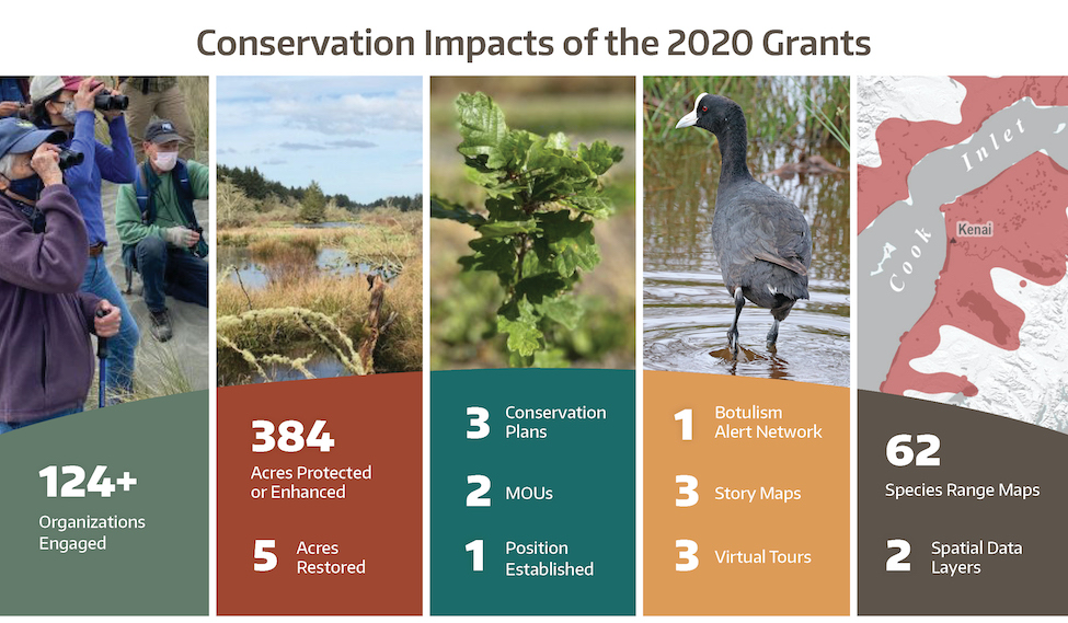 2020 Partnership Grants Infographic Partial Circle