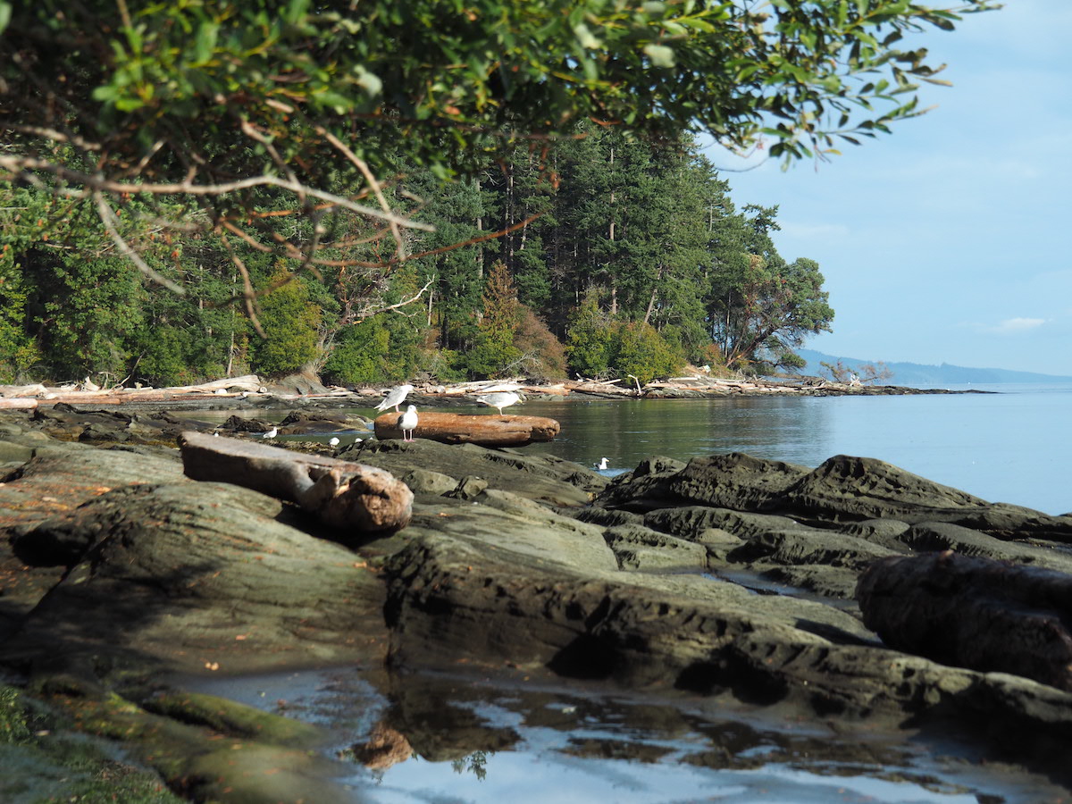 Cable Bay<br>© The Nature Trust of BC