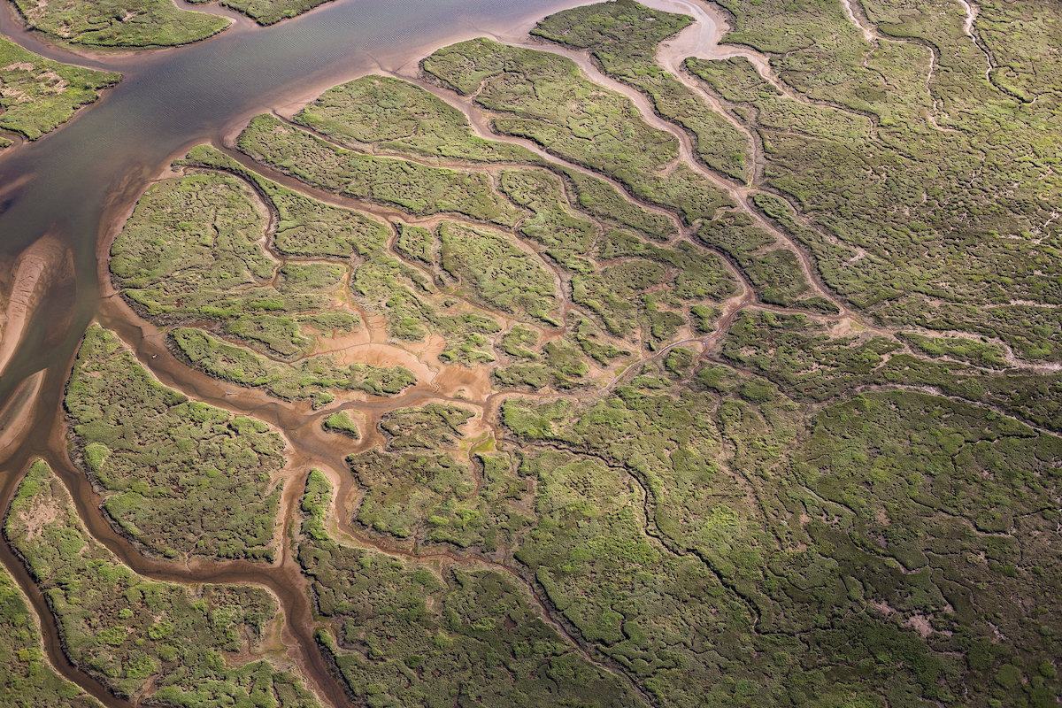 Wetlands along the Columbia River<br>Eric Prado © Creative Commons
