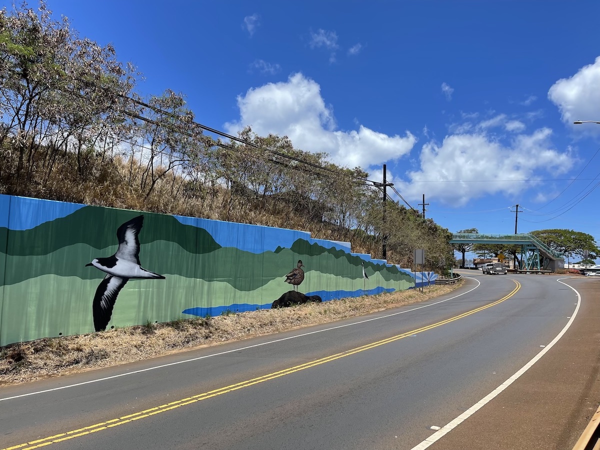 The mural is a now a prominent feature along the Kaumuali'i Highway on the island of Kauaʻi. 
