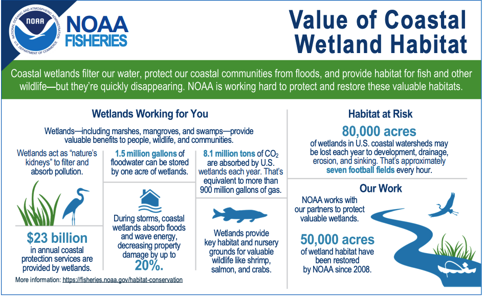 Infographic from NOAA