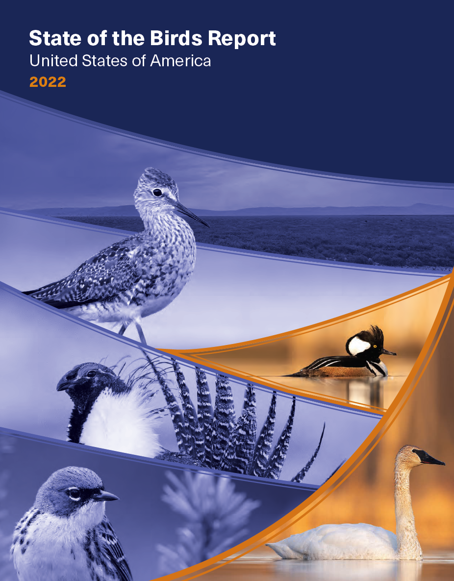 VISIT THE STATE OF THE BIRDS WEBSITE AND DOWNLOAD THE REPORT
