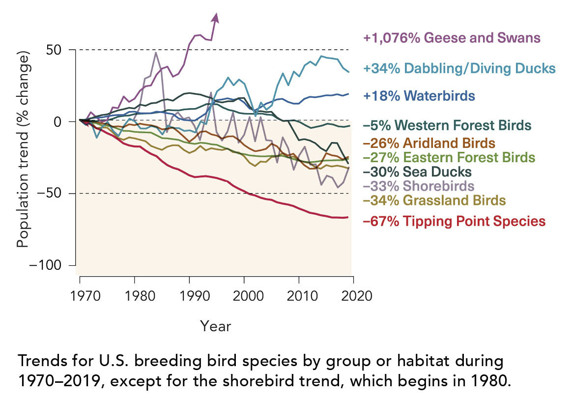 Image from State of the Birds 2022 report. 