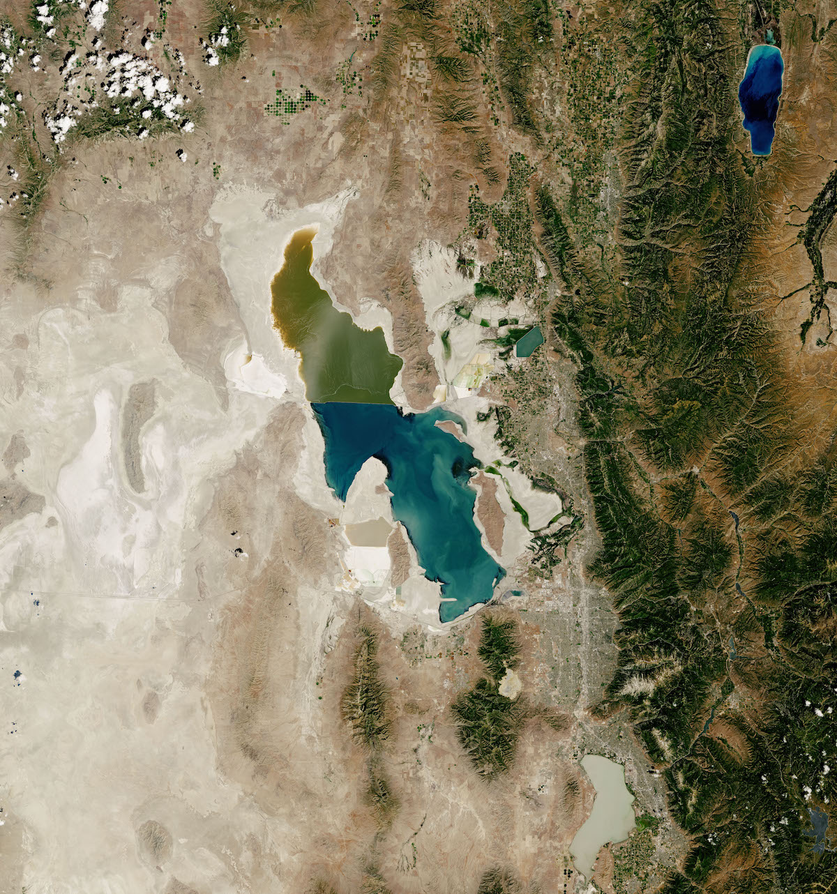 Great Salt Lake in 2022. Millions of ducks, geese, waterbirds and shorebirds use the lake's shallow waters and surrounding wetlands, especially during migration, but extended drought impacts the habitats and food supplies.<br>NASA Earth Observatory 