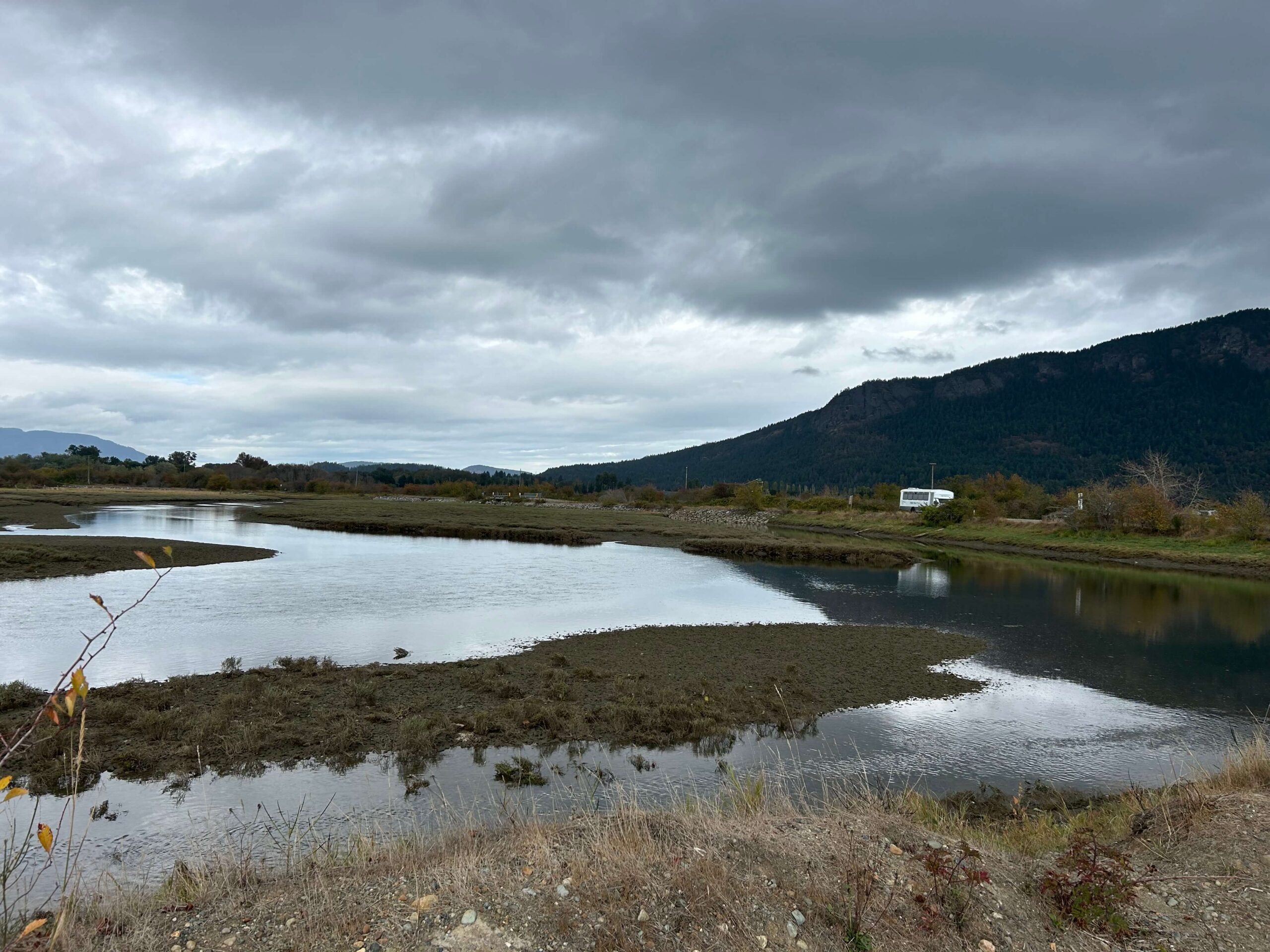 View of proposed restoration areas of the Cowichan Estuary.  Photo: Natalie Myers