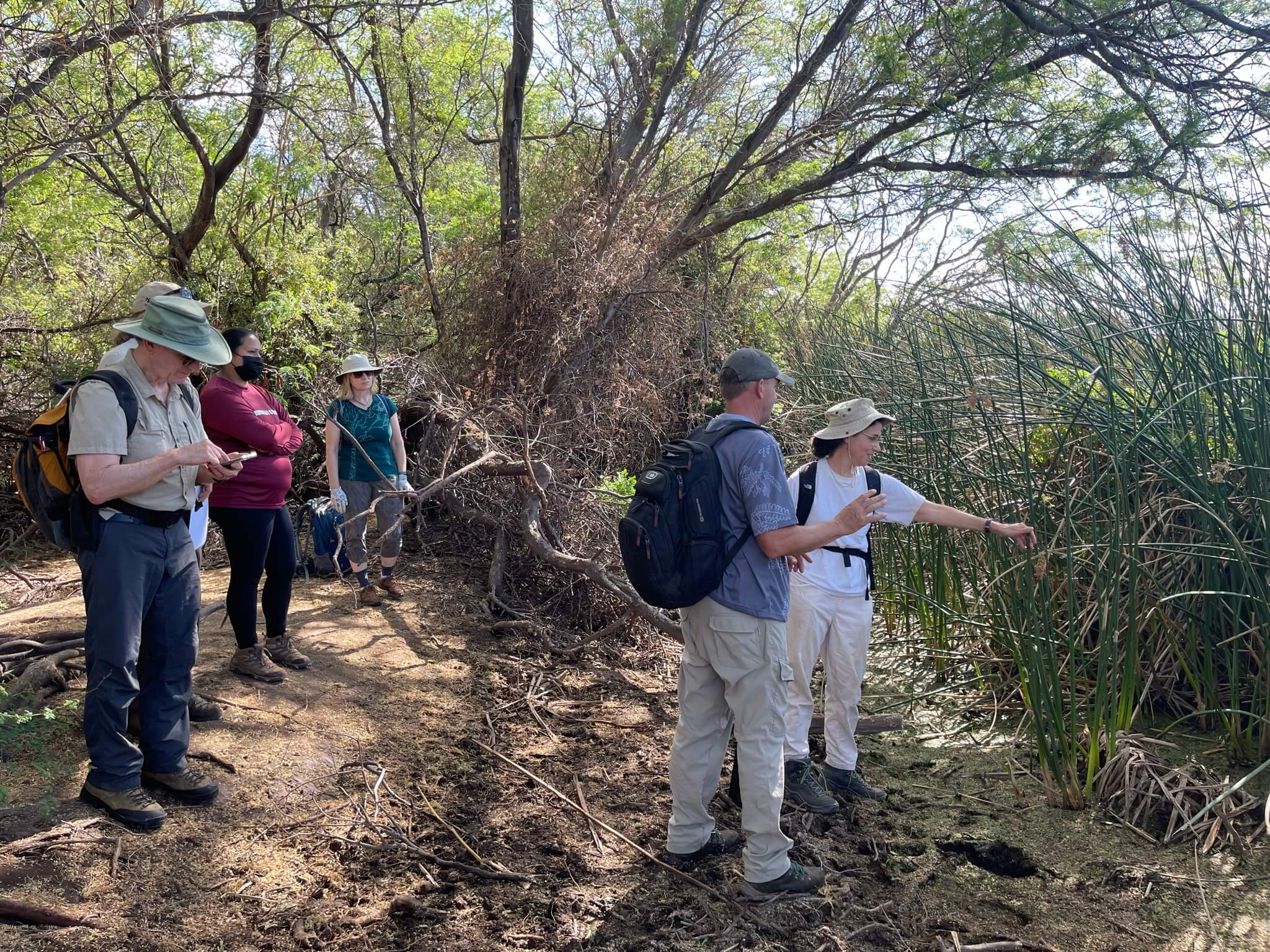 Molokaʻi Wetland Partnership team on site at Kākahaiʻa National Wildlife Refuge, one of the sites that will benefit from the NFWF NCRF grant. Photo: H. Raine
