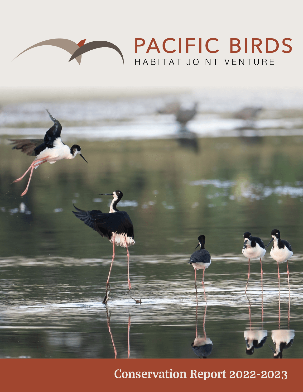 Pacific Birds 2022-2023 Report Cover Image (1)