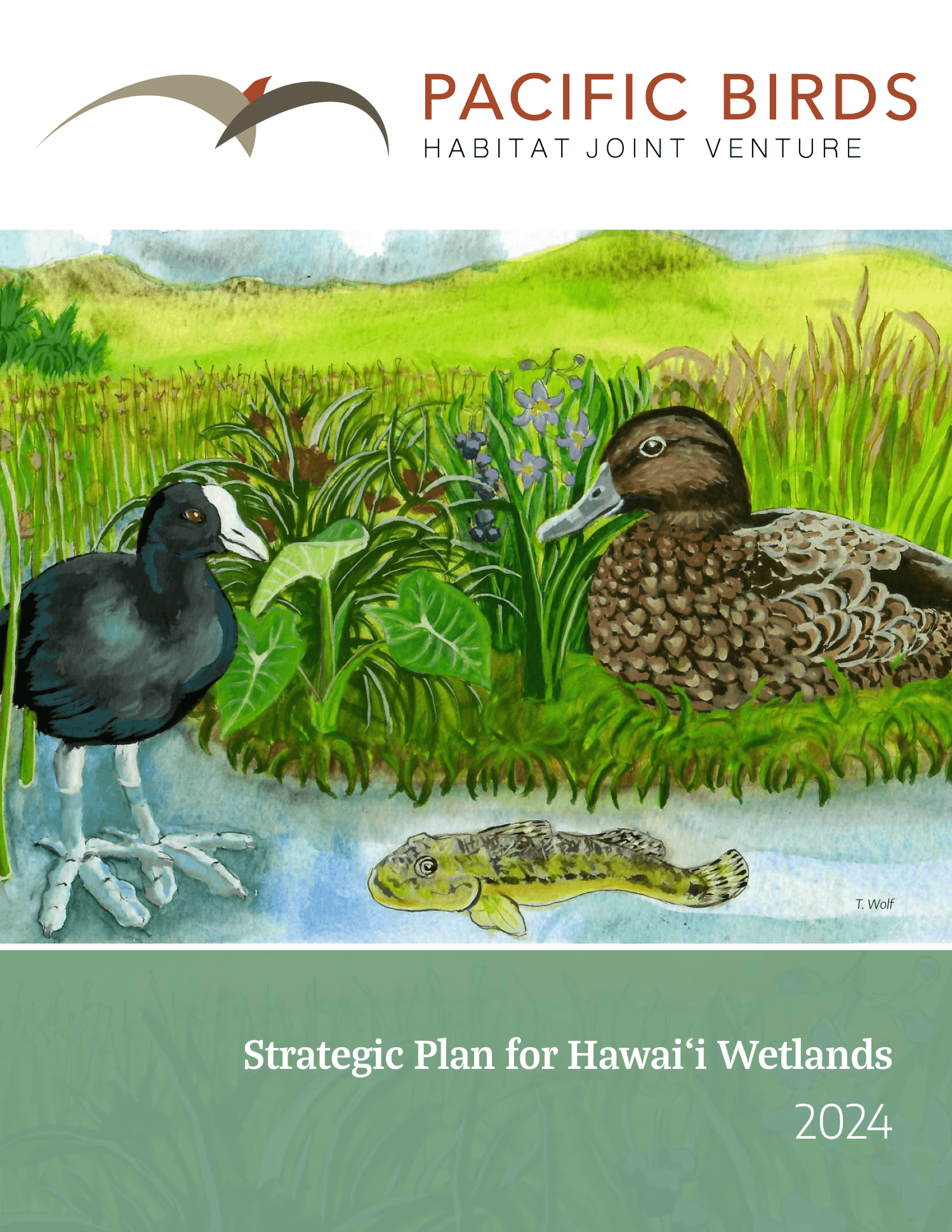PB Hawaii Plan_cover image