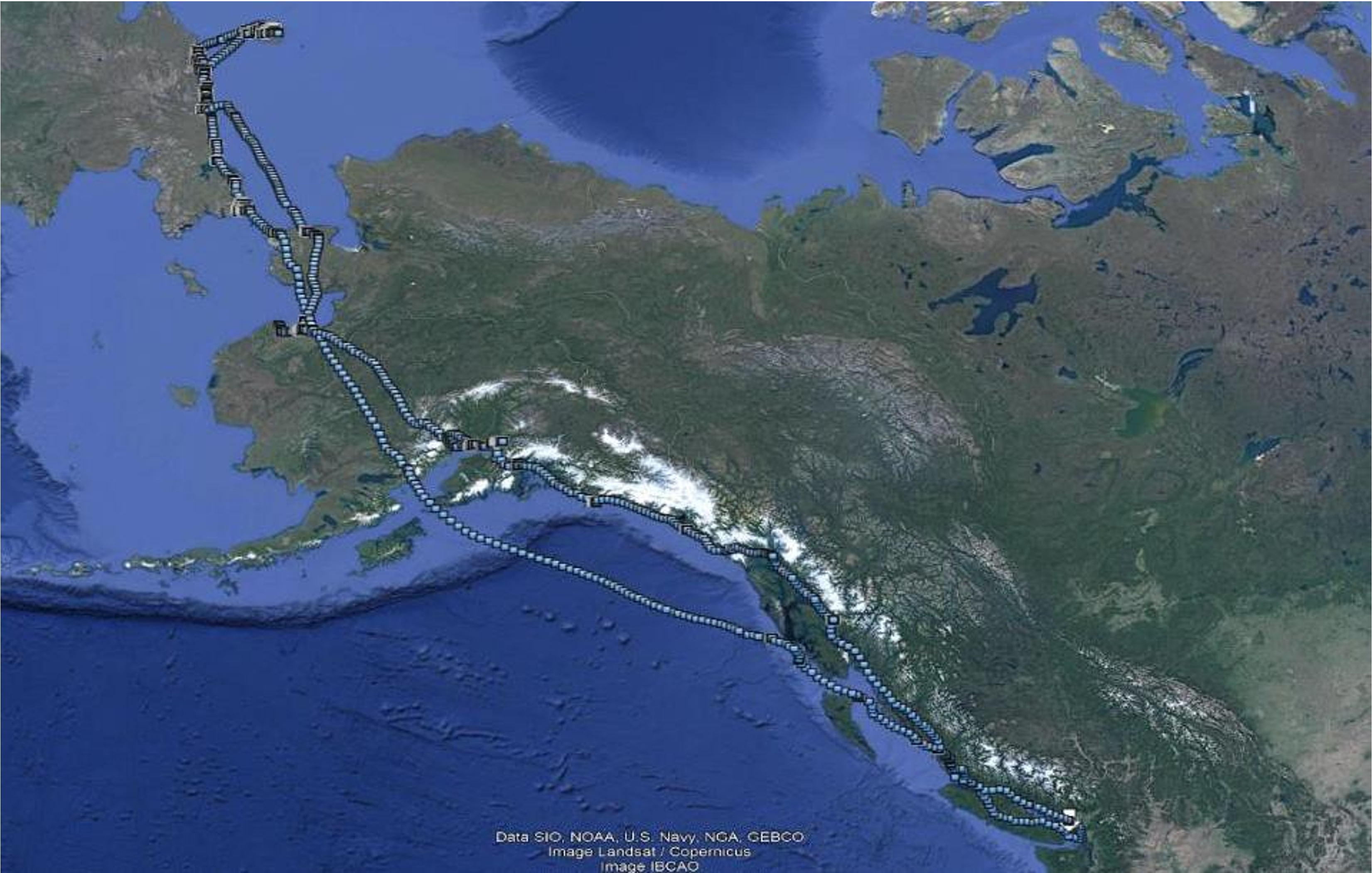 Flight path of X17 during his fall migration. Image: Dr. Sean Boyd. 