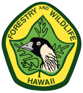 Dept-of-Land-and-Natural-Resources-–-Division-of-Forestry-and-Wildlife