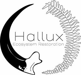 Hallux-Ecosystem-Restoration