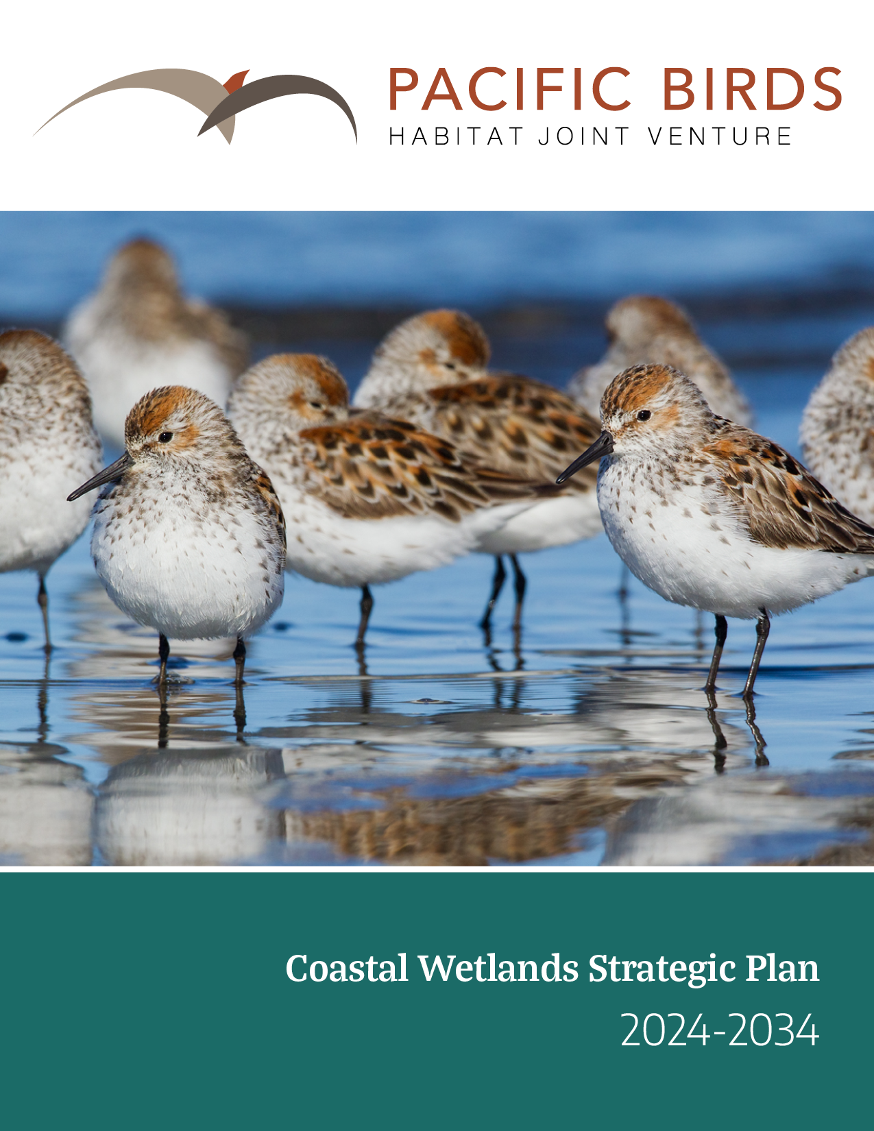 PBHJV Coastal Wetlands Plan cover image