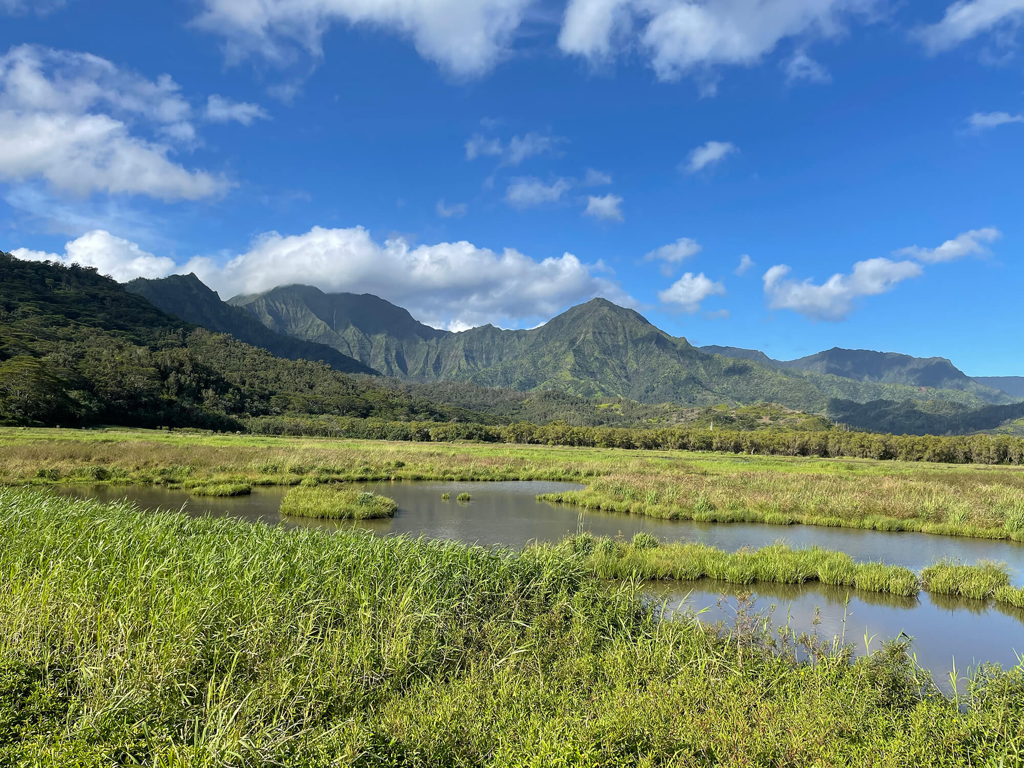 Hanalei National Wildlife Refuge, Credit: Helen Raine