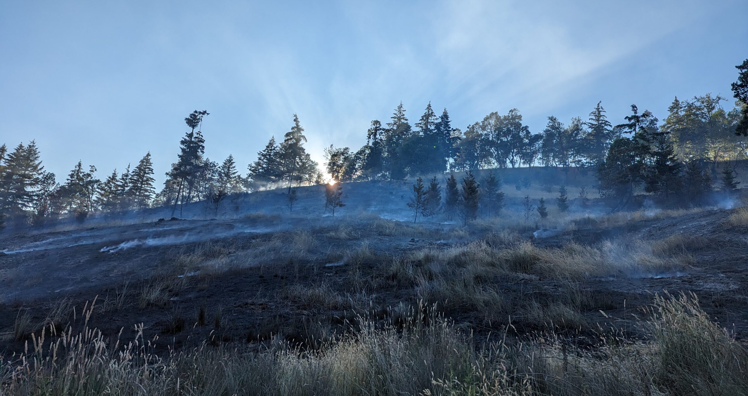 A hillside in sunset light, with smoke coming off the grass.