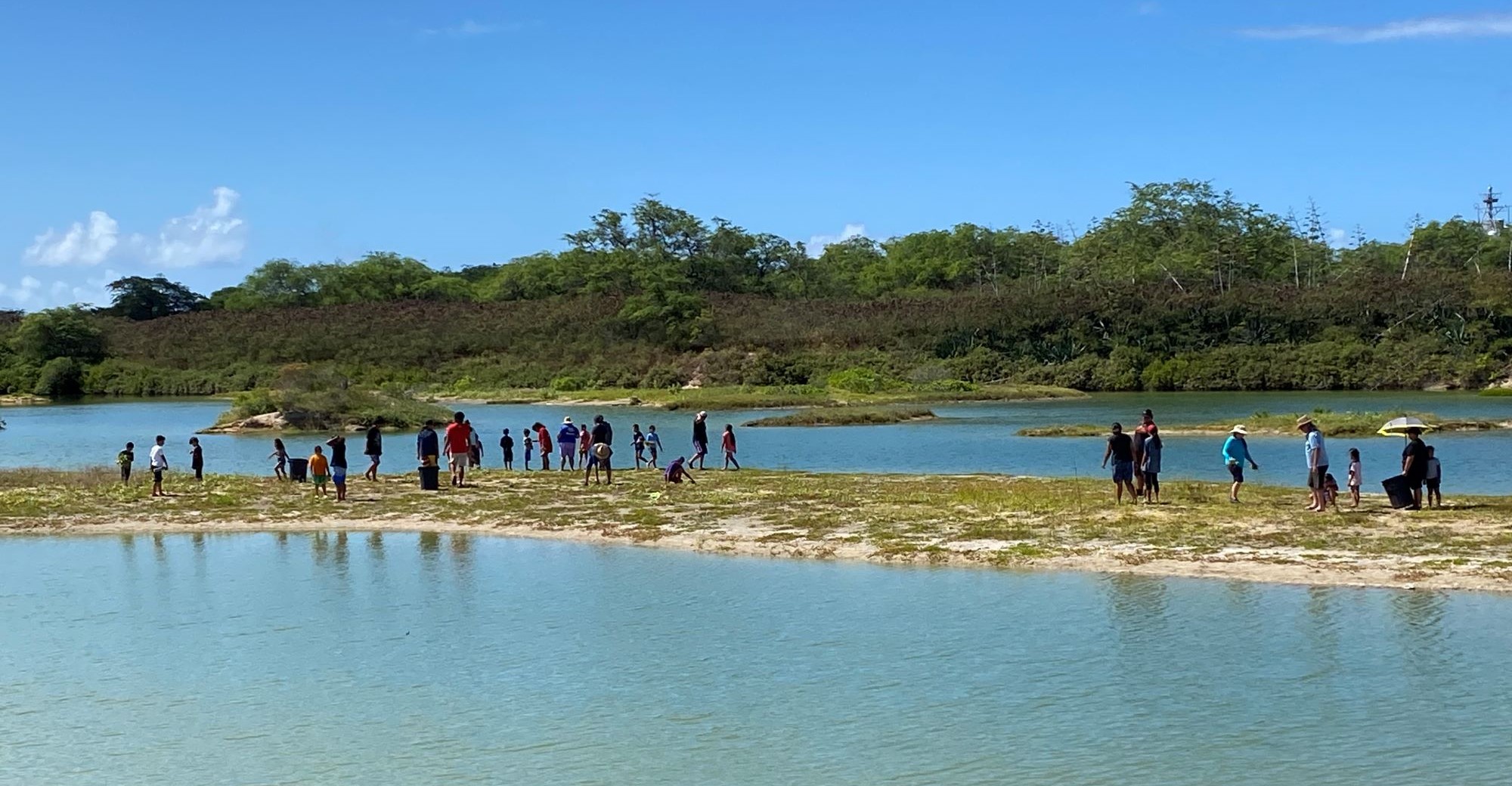 Volunteers at Kawaiʻele. Photo: Jason Vercelli