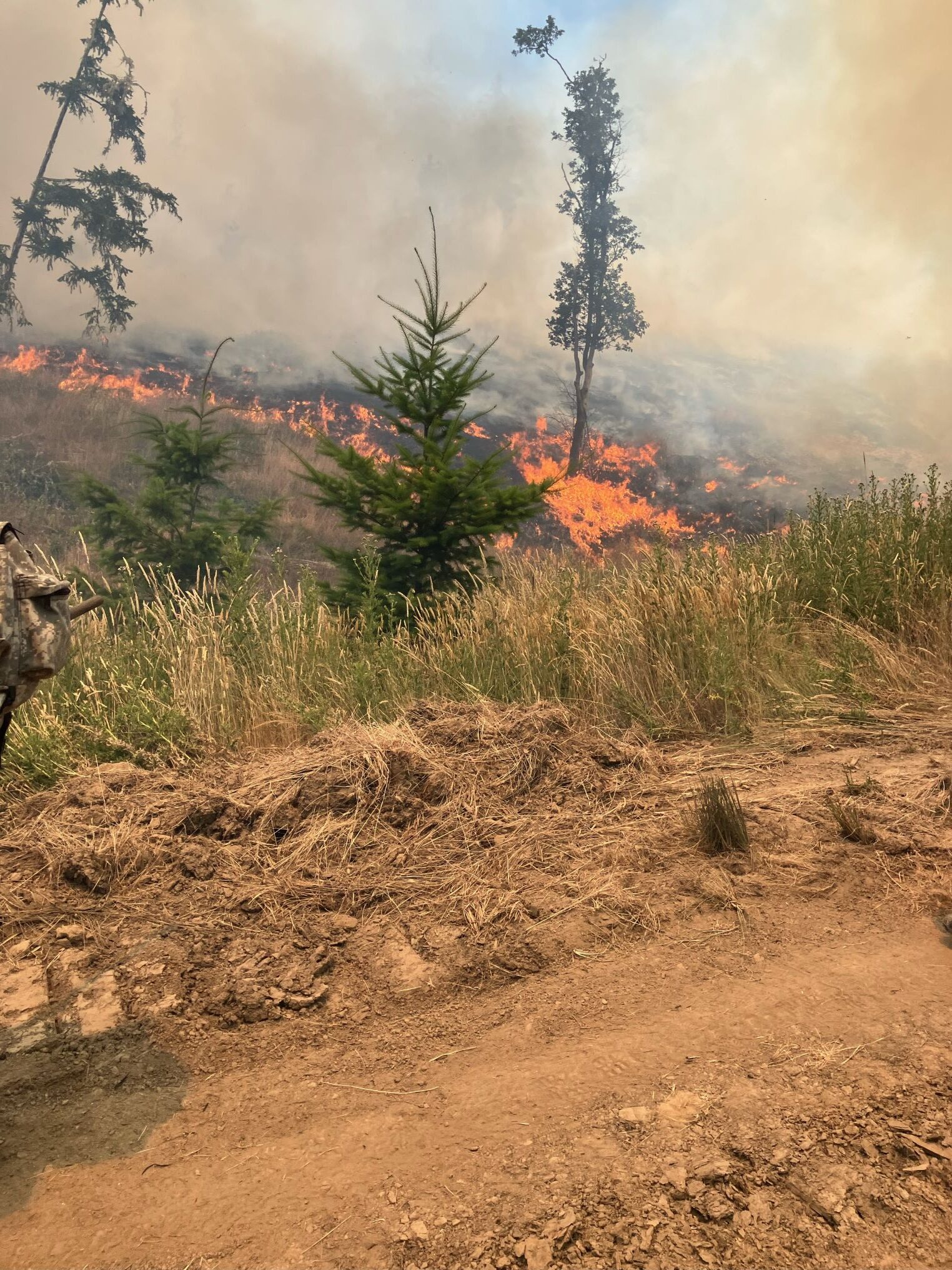 Flames covering the grass and ground at the burn site.