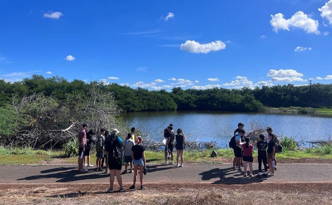 The Project Coordinator asking discussion questions about native birds. Students are conversing and preparing to answer discussion questions.
Credit: Hui o Hoʻohonua