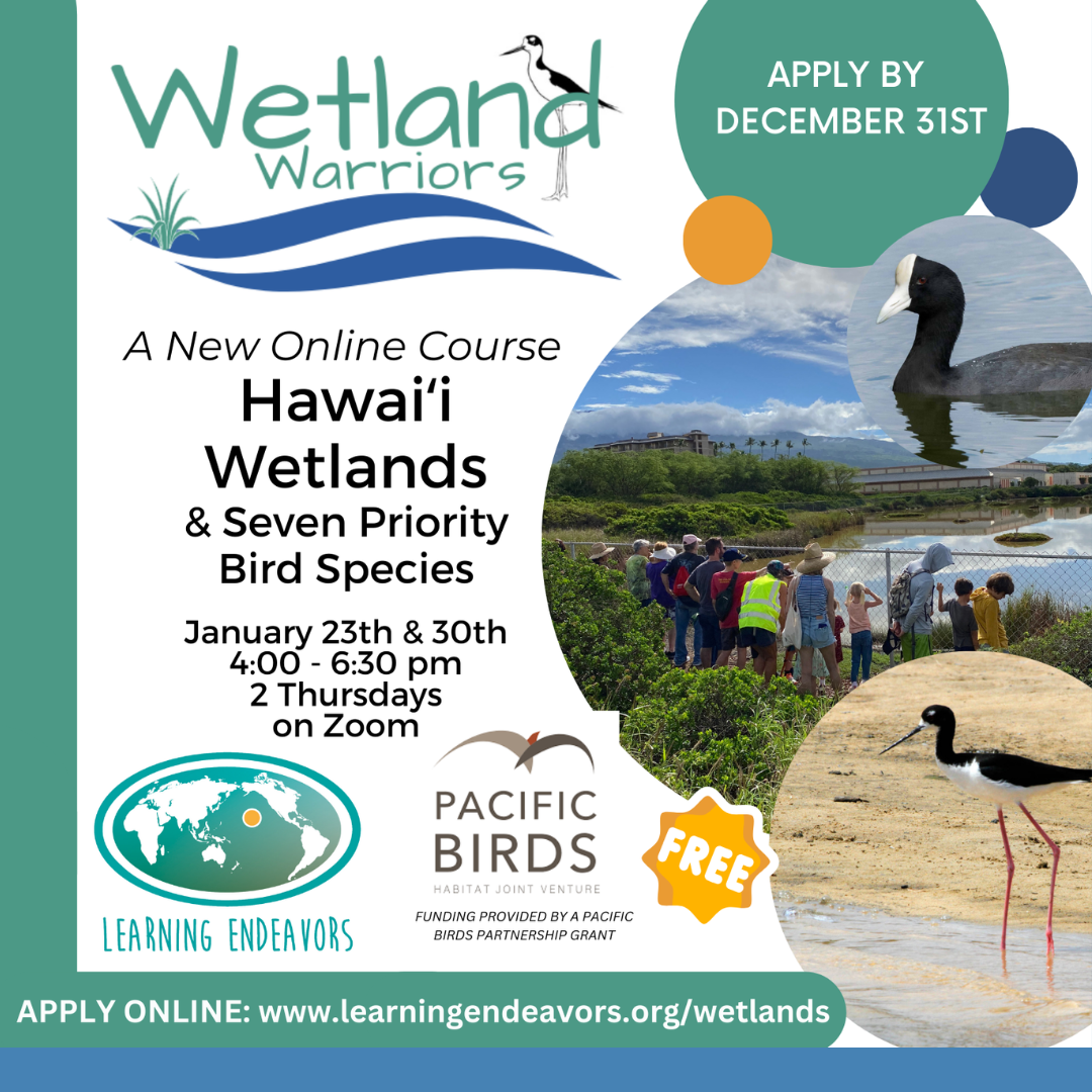 WWcourseSocial A flyer for a wetland education course
