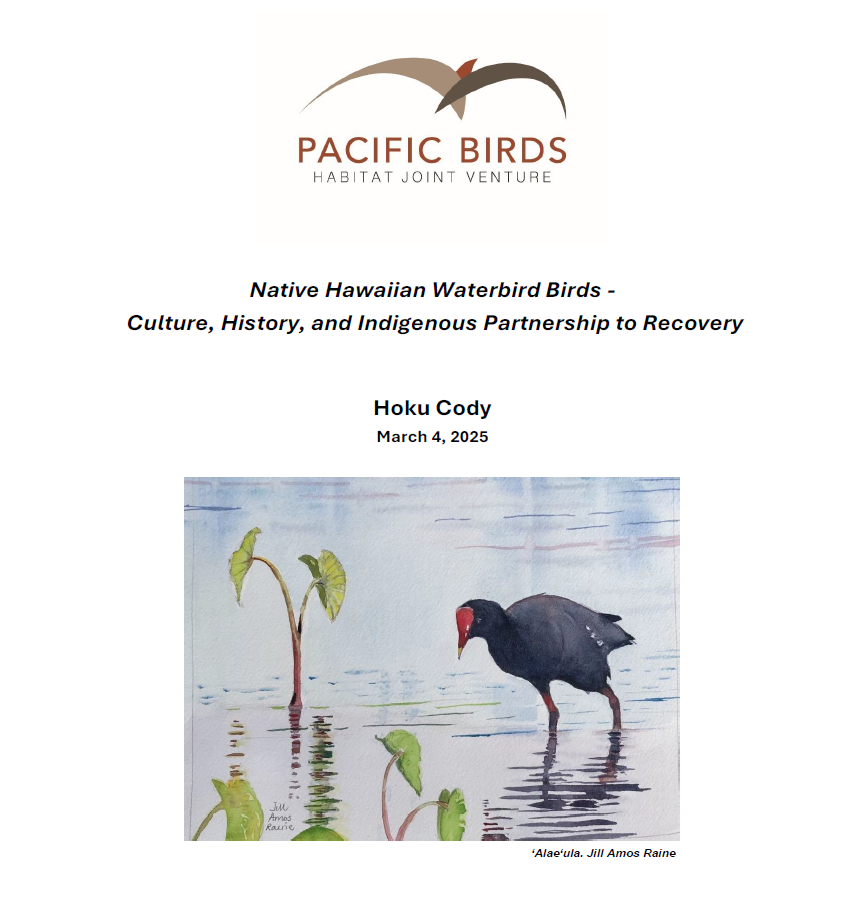 Report cover - artwork of a bird