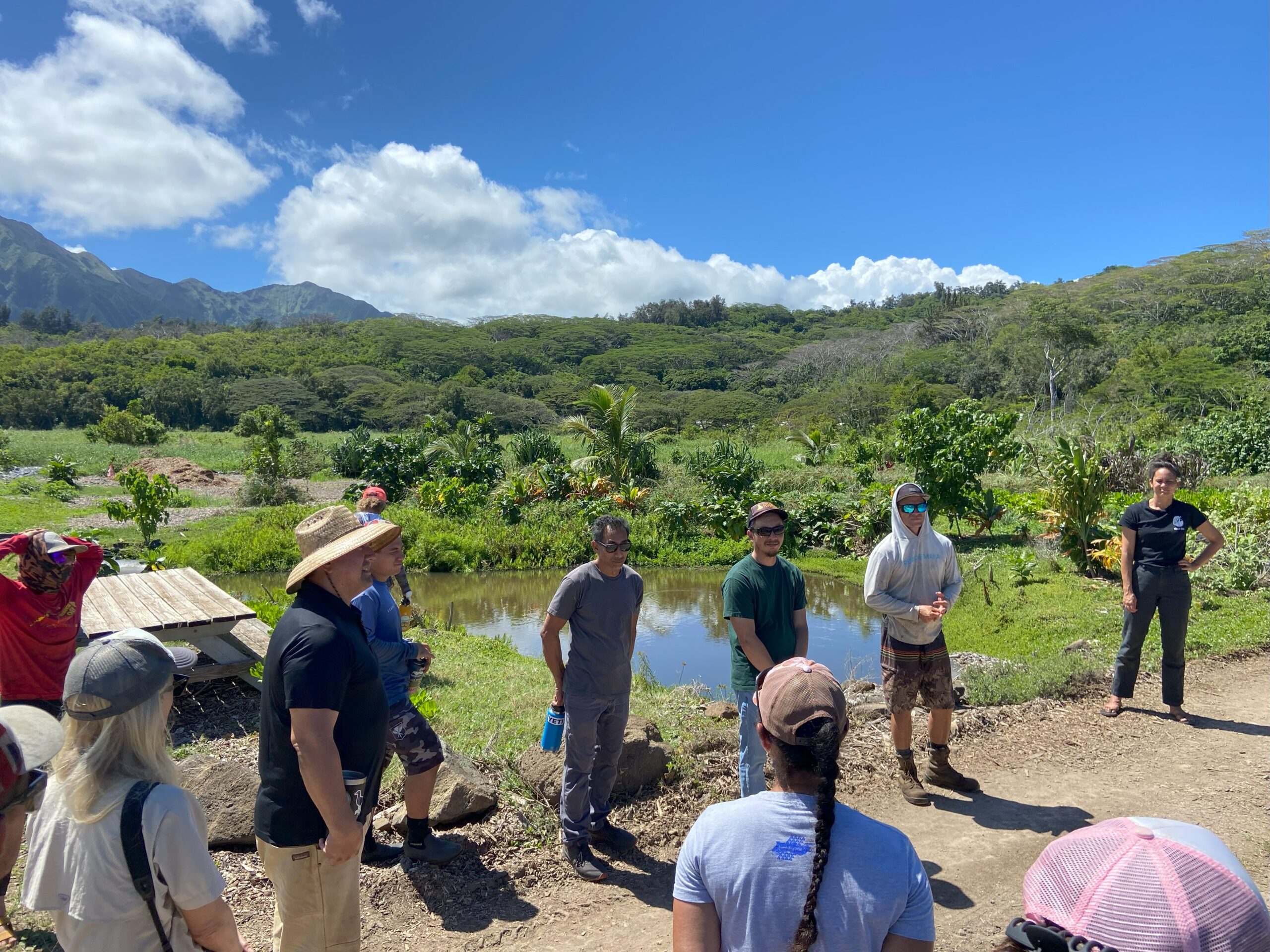 The workshop group at one of the wetlands at Heʻeia NERR. Credit: Monica Iglecia