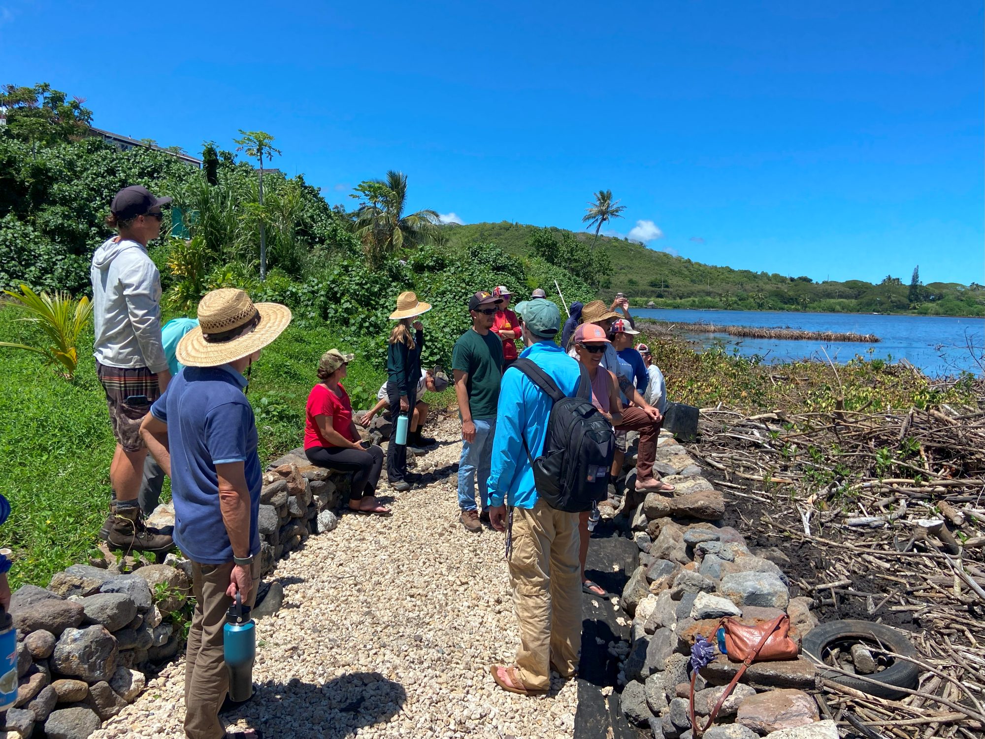 The group at a mangrove removal site at the Heʻeia loko iʻa (fishpond). Credit: Monica Iglecia