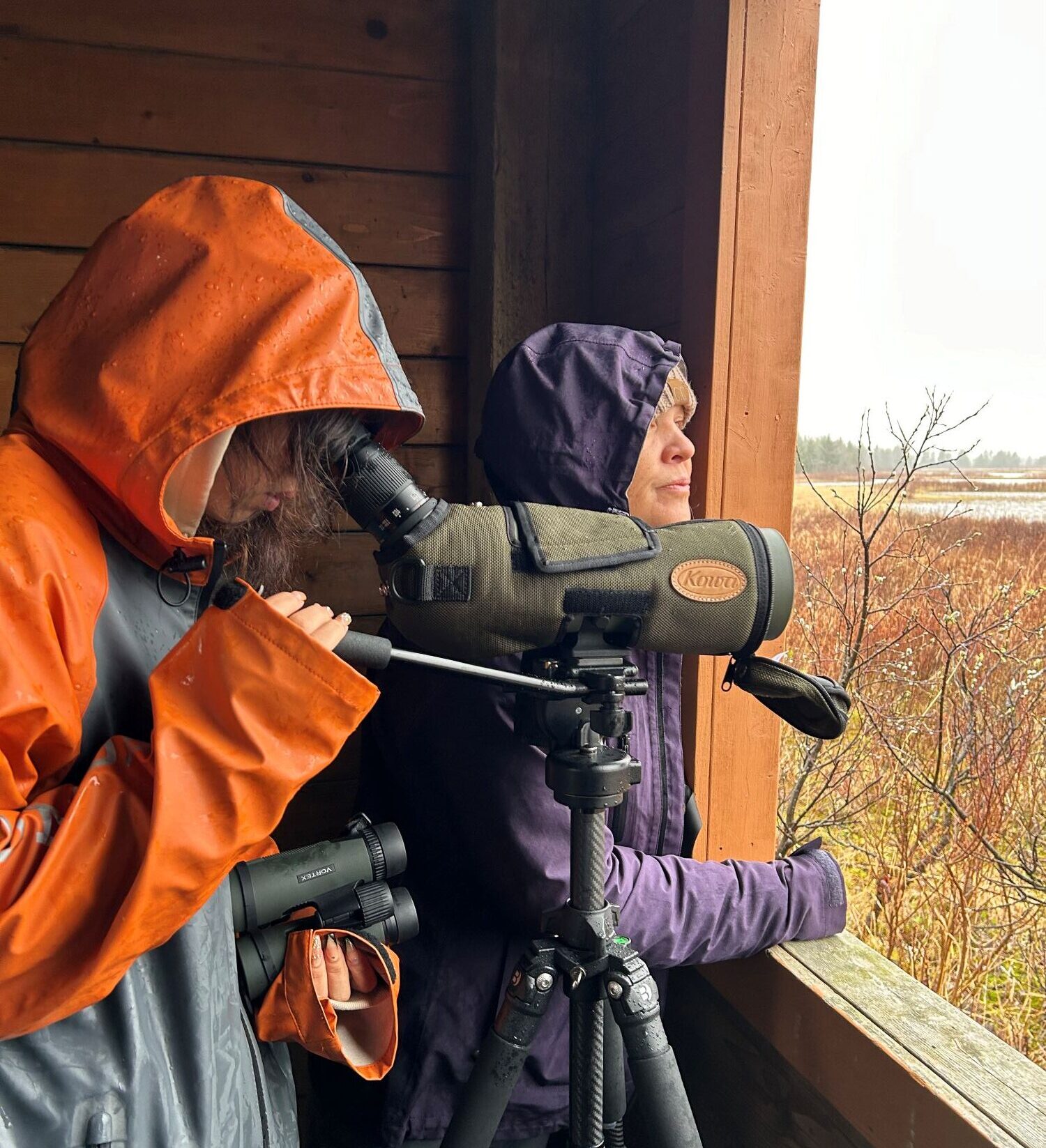 Birdwatchers in raincoats using a spotting scope in a blind