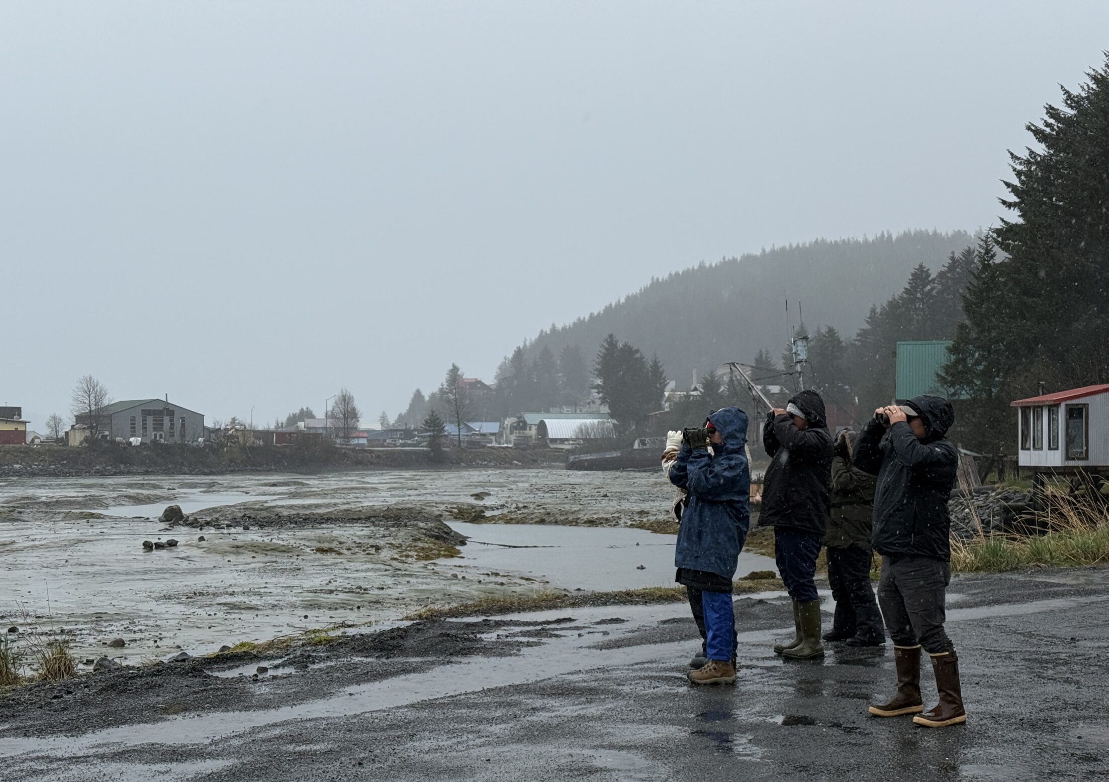 People birdwatching by a rainy lakeside in casual attire