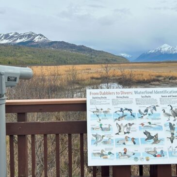 Scenic wildlife viewing area with informative sign and mountains