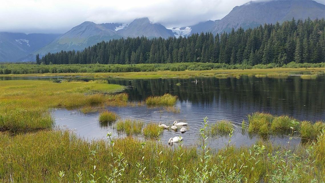 Photo - Antonia Fowler