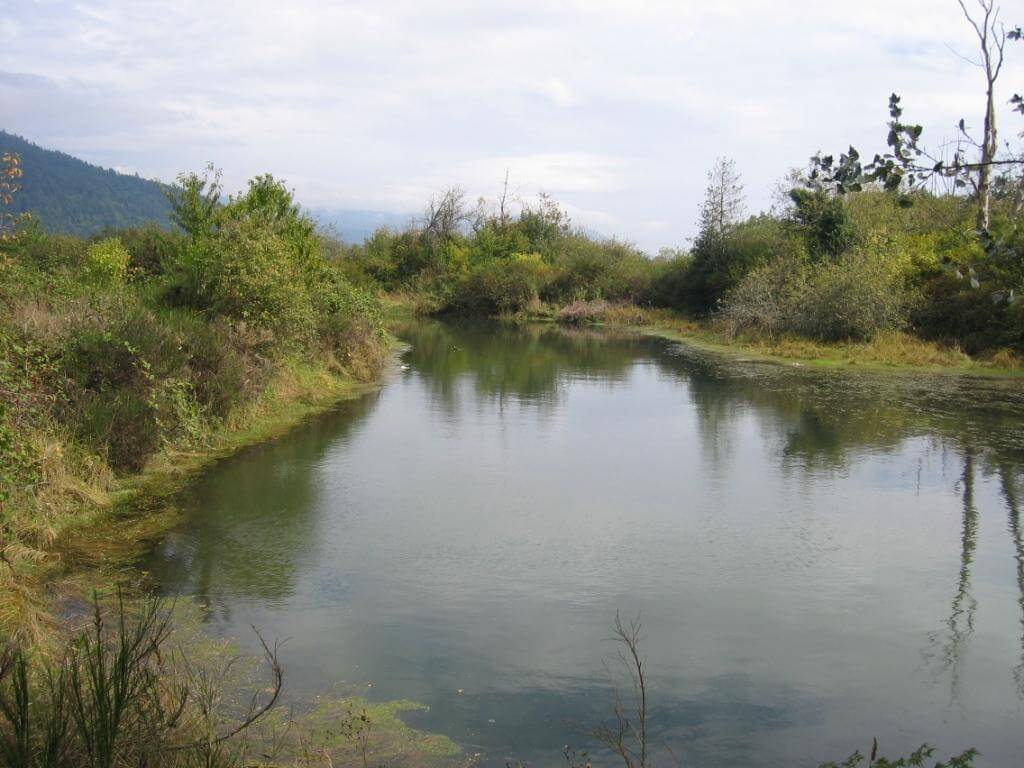 Cowichan River Estuary<br>Photo - The Nature Trust of BC
