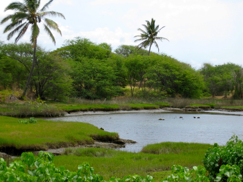 Honu‘apo Estuary and Fishpond by Rosa Say, CC, BY-NC-ND 20